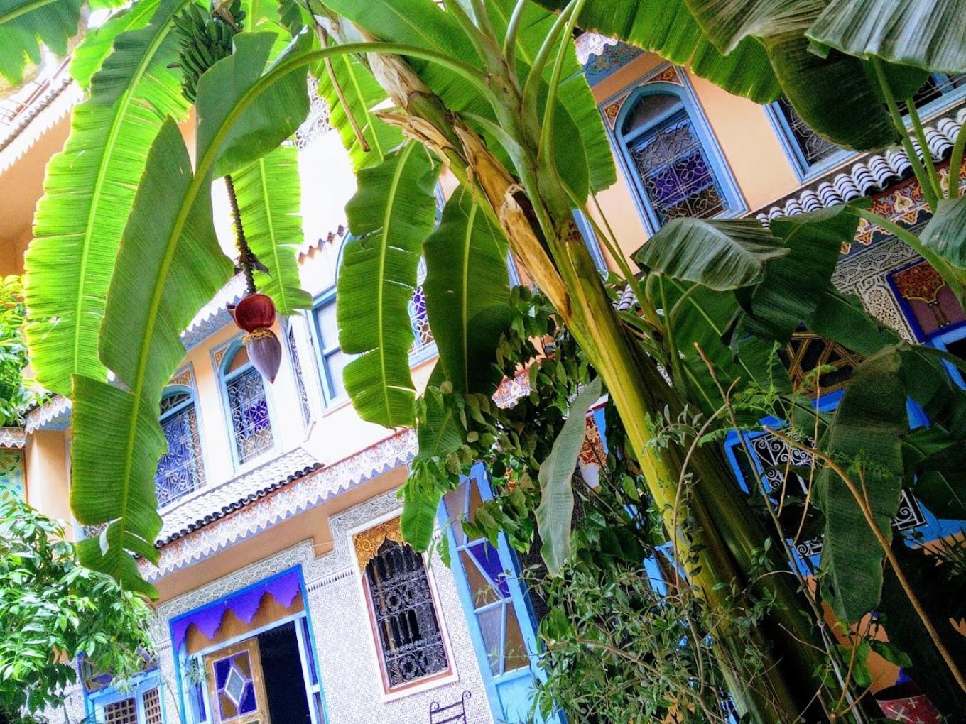 Riad Carole - Perfect For Families & Groups Marakéš Exteriér fotografie